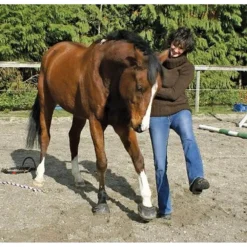 Cavallo Sport Regular Sole Horse Boots 13 Cavallo Sport Regular Sole Horse Boots -PBS Animal Health 15190 5