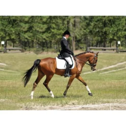 Cavallo Sport Regular Sole Horse Boots 14 Cavallo Sport Regular Sole Horse Boots -PBS Animal Health 15190 6