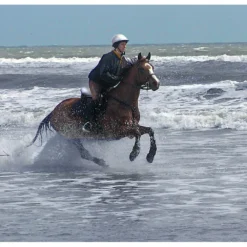 Cavallo Sport Regular Sole Horse Boots 15 Cavallo Sport Regular Sole Horse Boots -PBS Animal Health 15190 7