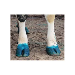 Dragonhyde Dust Dissolvable Hoof Bath Powder -PBS Animal Health 15234 4