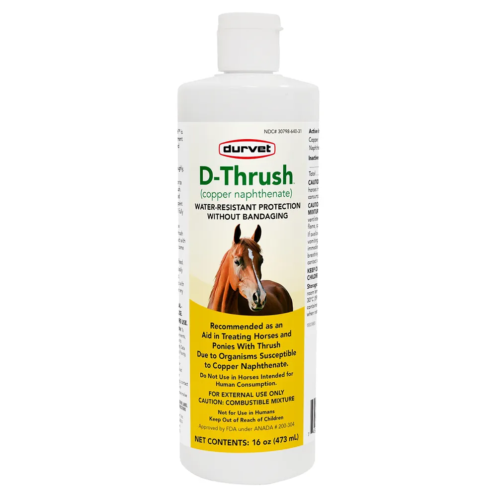 D-Thrush For Horses And Ponies 3 D-Thrush For Horses And Ponies