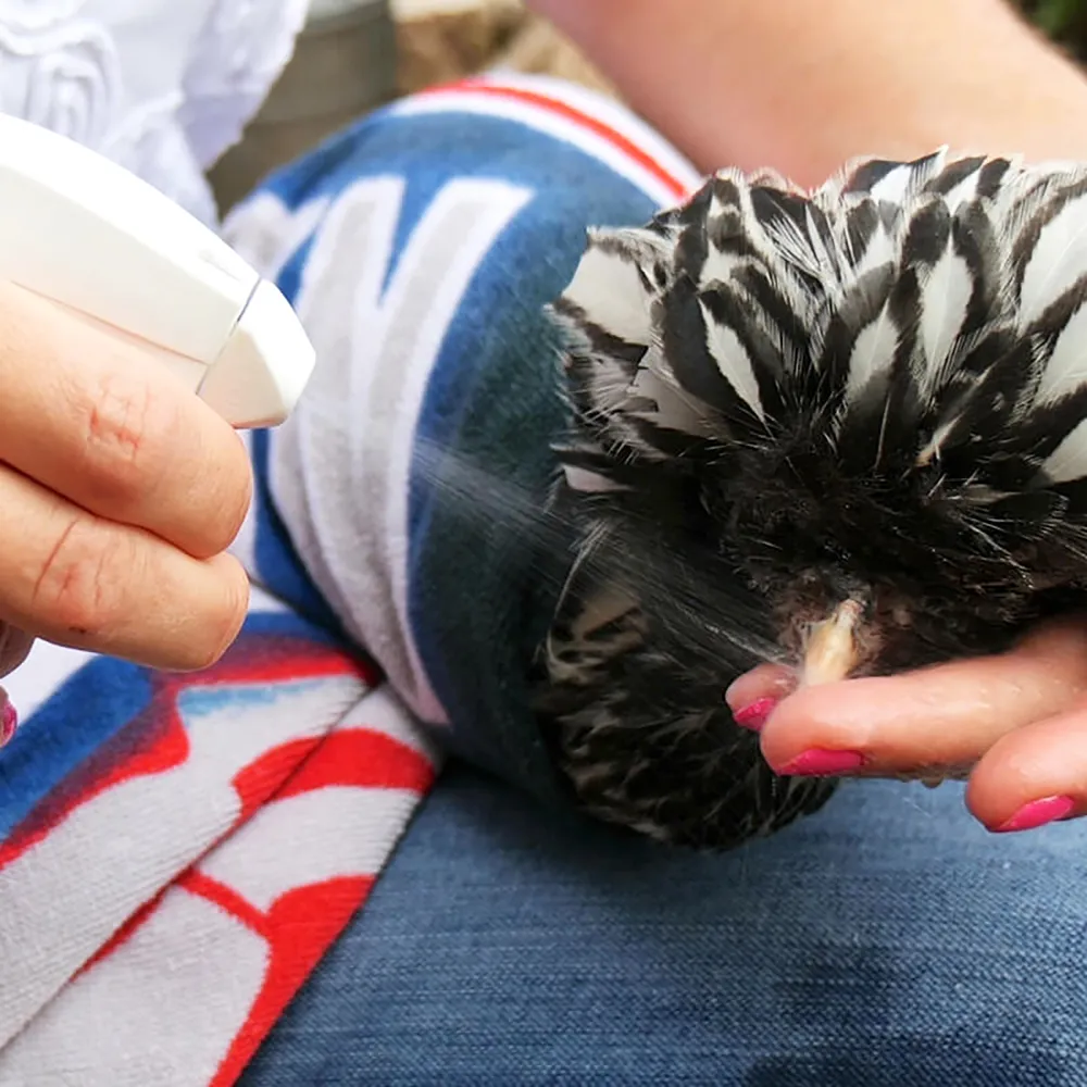 Vetericyn Plus Antimicrobial Poultry Care Spray 4 Vetericyn Plus Antimicrobial Poultry Care Spray - Image 2