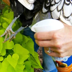 Vetericyn Plus Antimicrobial Poultry Care Spray 9 Vetericyn Plus Antimicrobial Poultry Care Spray -PBS Animal Health 15665 3