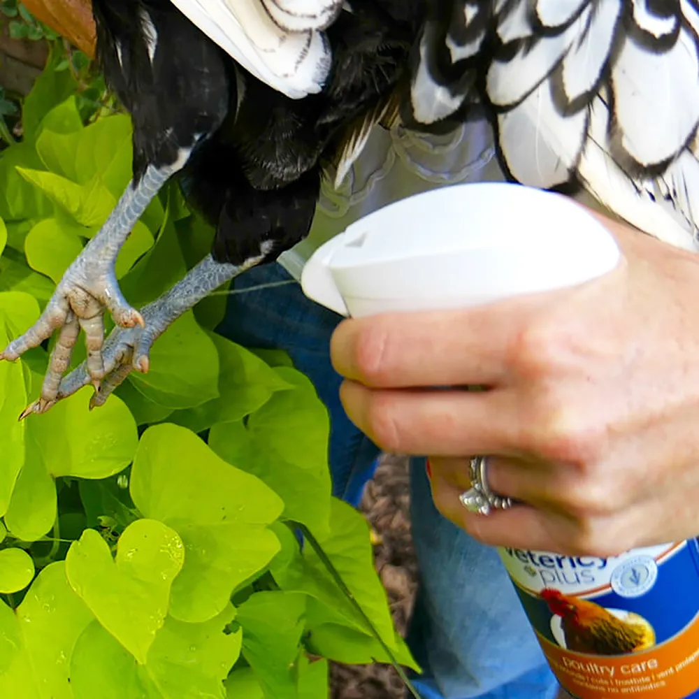 Vetericyn Plus Antimicrobial Poultry Care Spray 5 Vetericyn Plus Antimicrobial Poultry Care Spray - Image 3