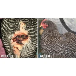 Vetericyn Plus Antimicrobial Poultry Care Spray 11 Vetericyn Plus Antimicrobial Poultry Care Spray -PBS Animal Health 15665 5