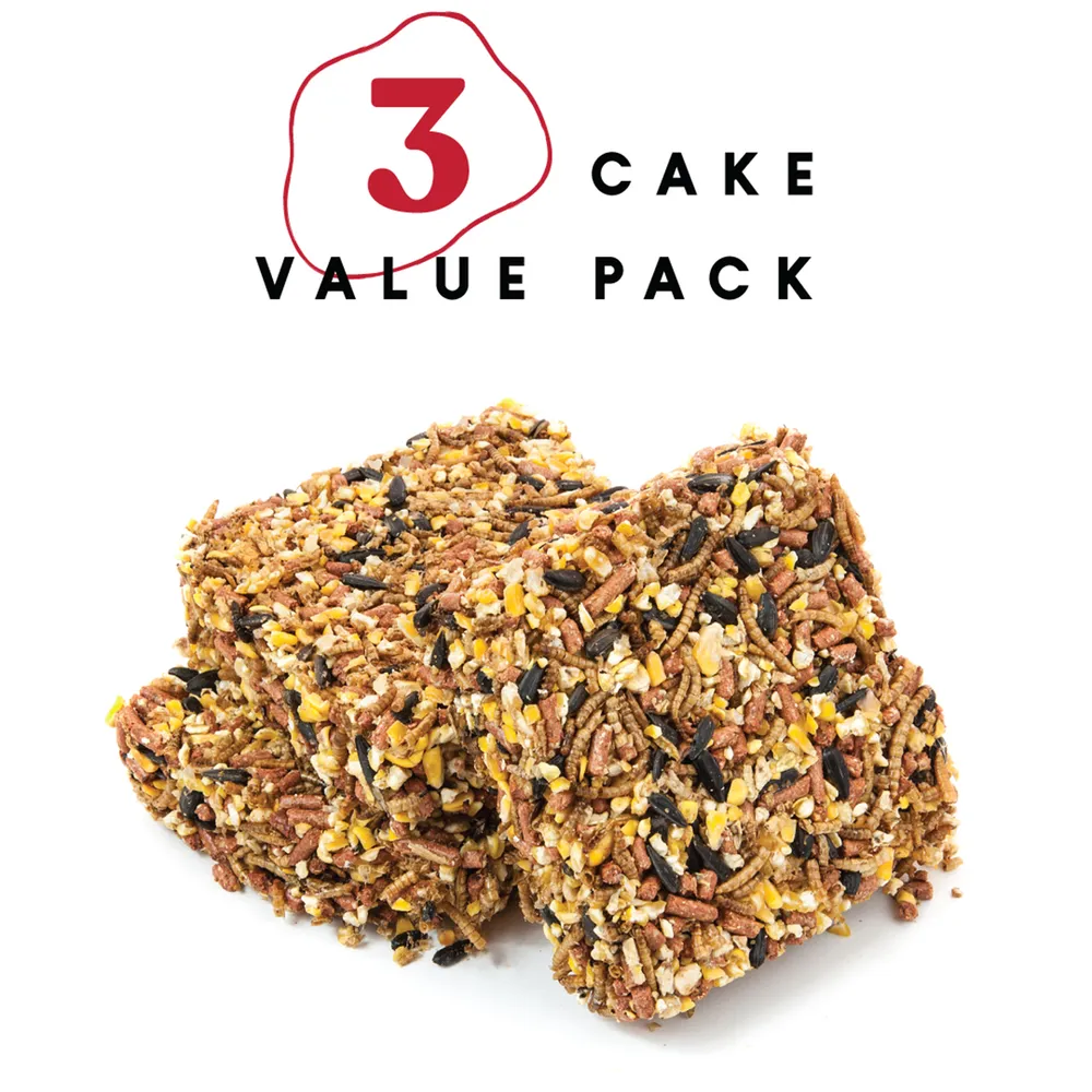 Mealworm Medley Poultry Treat 5 Mealworm Medley Poultry Treat - Image 3