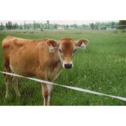 Poly Tape 1/2 Inch -PBS Animal Health 15884 3