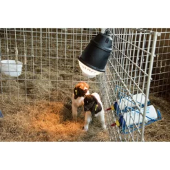 Prima Heat Lamp -PBS Animal Health 15913 3