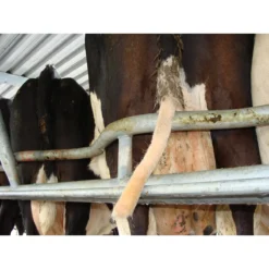 Tailwell2 Power Tail Trimmer 15 Tailwell2 Power Tail Trimmer -PBS Animal Health 15982 5