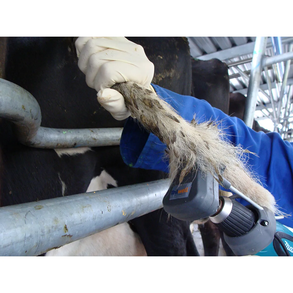 Tailwell2 Power Tail Trimmer 8 Tailwell2 Power Tail Trimmer - Image 6