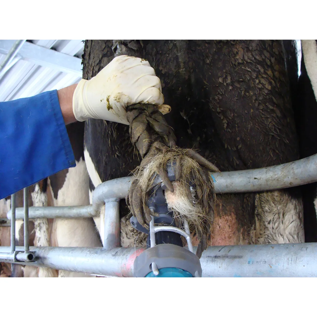 Tailwell2 Power Tail Trimmer 11 Tailwell2 Power Tail Trimmer - Image 9