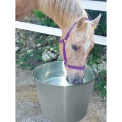 Stainless Steel Dairy Pail -PBS Animal Health 16266 3