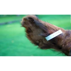 Steel Cattle Numbered Ear Tags -PBS Animal Health 16276 4