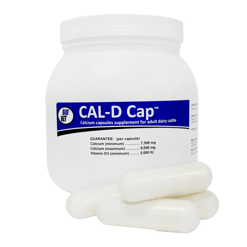 Cal-D Caps For Dairy Cattle 3 Cal-D Caps For Dairy Cattle
