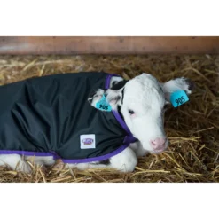 Weaver Livestock Pro Calf Blanket -PBS Animal Health 16632 3