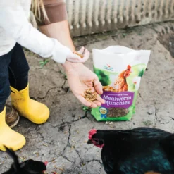 Mealworm Munchies Gourmet Poultry Treats -PBS Animal Health 16775 5