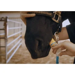 Redmond Daily Gold Stress Relief For Horses 10 Redmond Daily Gold Stress Relief For Horses -PBS Animal Health 16933 3