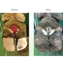 HealMax Paste For Cattle -PBS Animal Health 17043 2