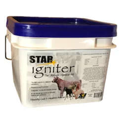 STAR Igniter