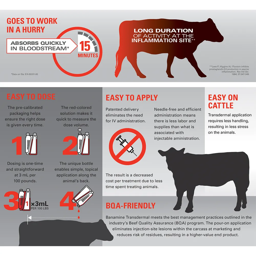 Banamine Transdermal Pour-On Rx 4 Banamine Transdermal Pour-On Rx - Image 2