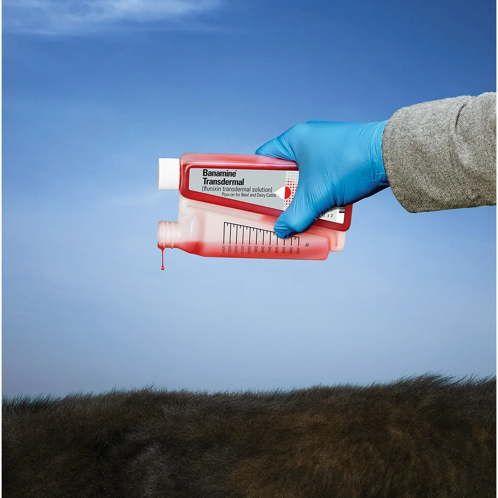 Banamine Transdermal Pour-On Rx 6 Banamine Transdermal Pour-On Rx - Image 4