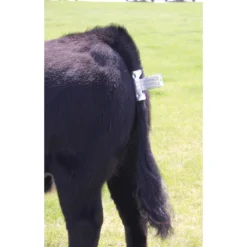 Tail Clamp For Cattle -PBS Animal Health 18222 2