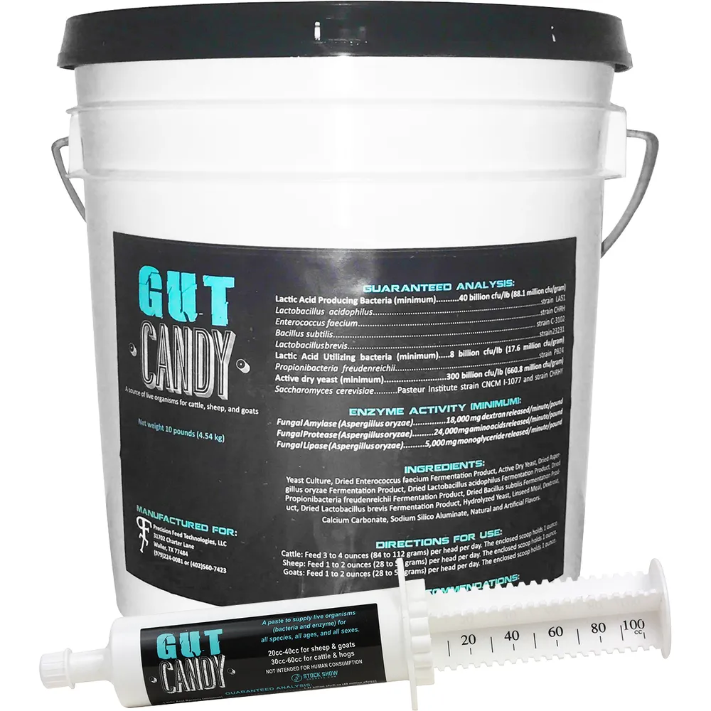 Gut Candy 3 Gut Candy