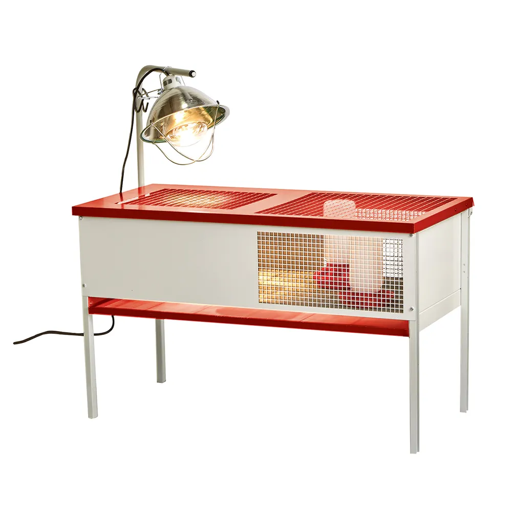 Galvanized Chick Brooder Box 4 Galvanized Chick Brooder Box - Image 2