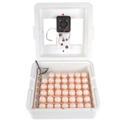 PBS Animal Health -PBS Animal Health 18481 2