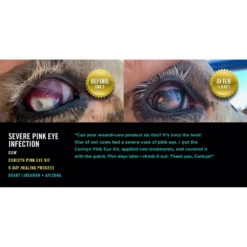 Curicyn Pink Eye Kit 9 Curicyn Pink Eye Kit -PBS Animal Health 19043 4