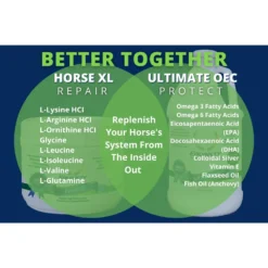 Equinety Ultimate OEC Supplement -PBS Animal Health 19056 6