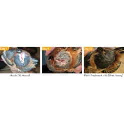 Silver Honey Hot Spot & Wound Care -PBS Animal Health 19293 3