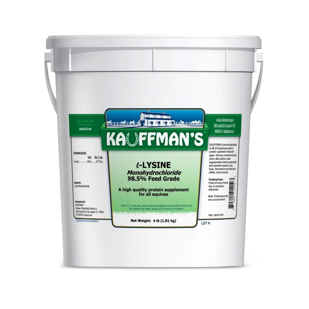 L-Lysine 98.5% Feed Grade For Horses 3 L-Lysine 98.5% Feed Grade For Horses
