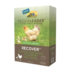 FlockLeader RECOVER Poultry Supplement