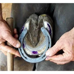 Sav-A-Hoof Gel II For Horses -PBS Animal Health 20145 5