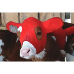 Kalf Kozie -PBS Animal Health 20386 4