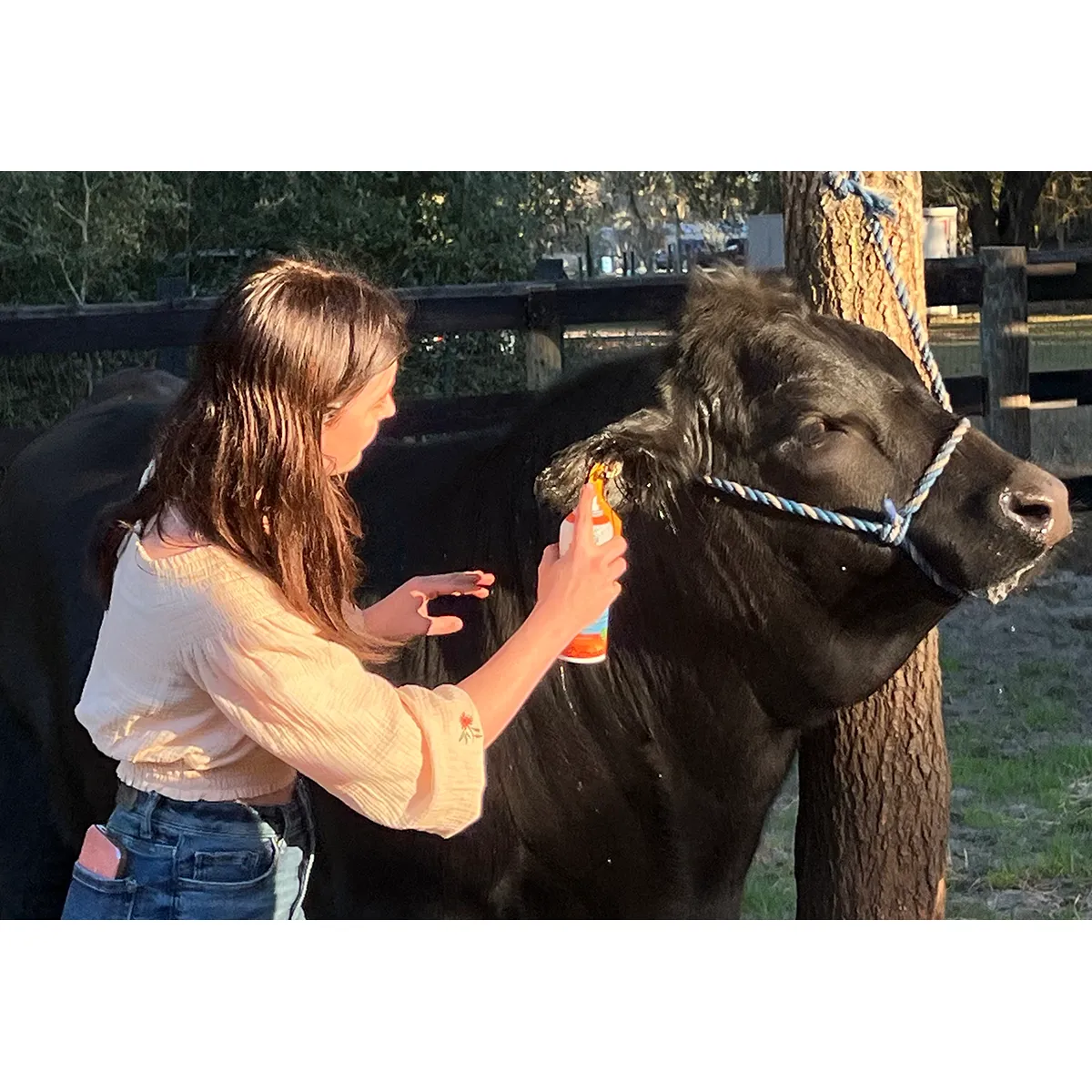 Groom's Hand Derma360 4 Groom's Hand Derma360 - Image 2