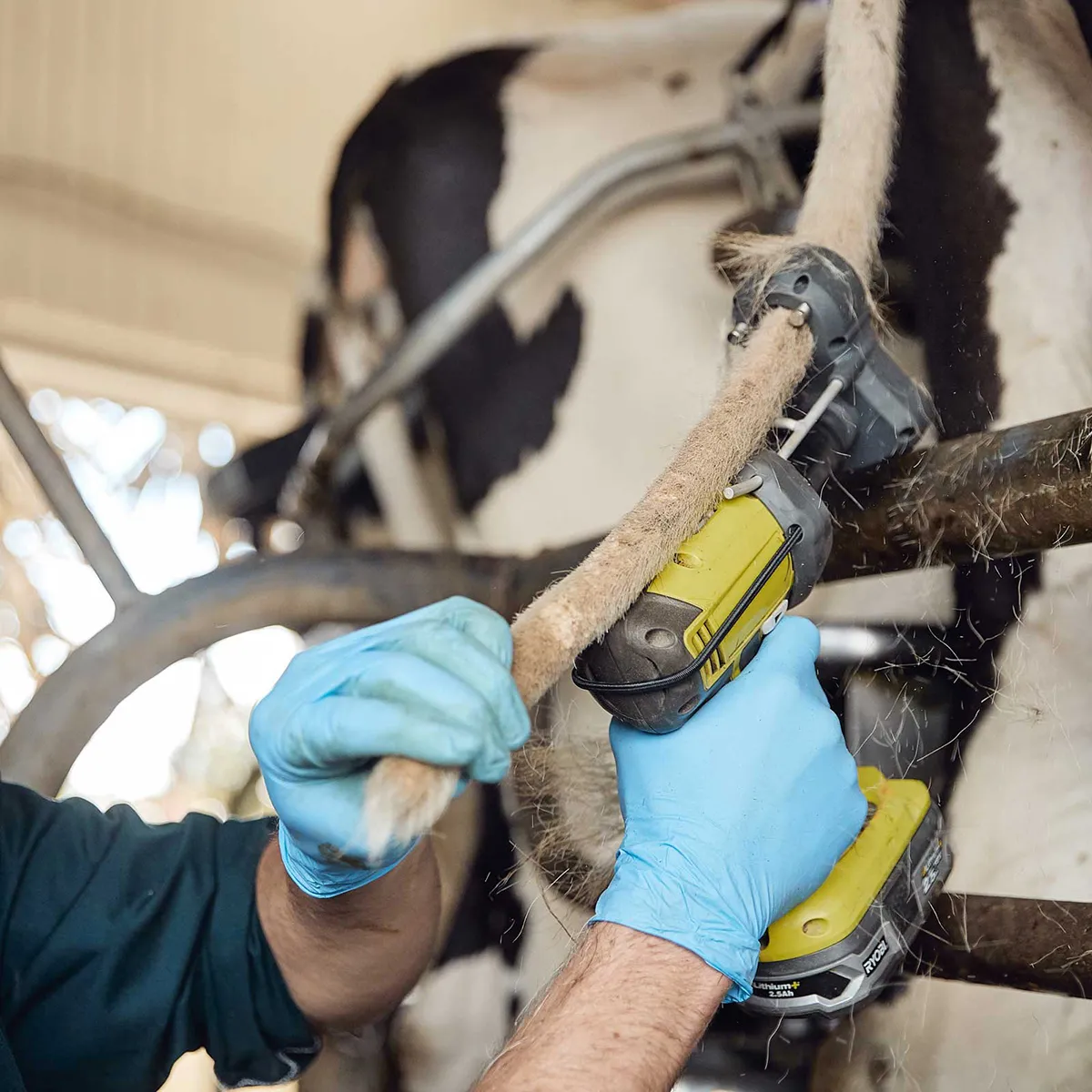 Tailwell Titanium Trimmer Kit 5 Tailwell Titanium Trimmer Kit - Image 3